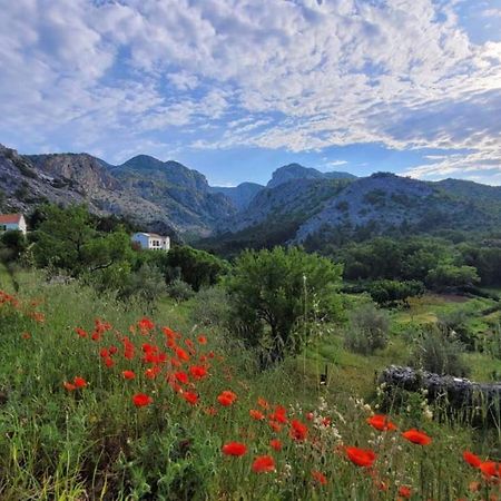 Apartments Paklenica スタリグラード エクステリア 写真
